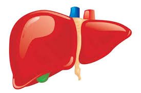 LIVER TEST